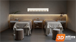 Spa Skp Files 